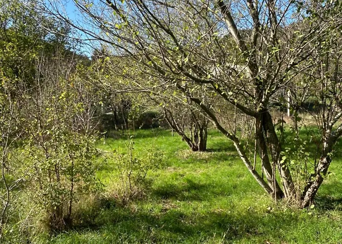 Sur Terrain Arbore 아파트