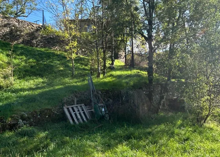 Sur Terrain Arbore *