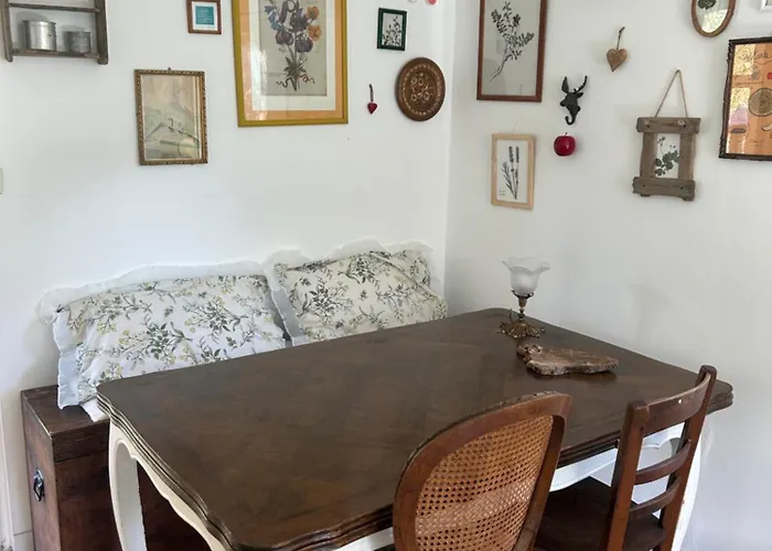 Sur Terrain Arbore Fayet (Aveyron)