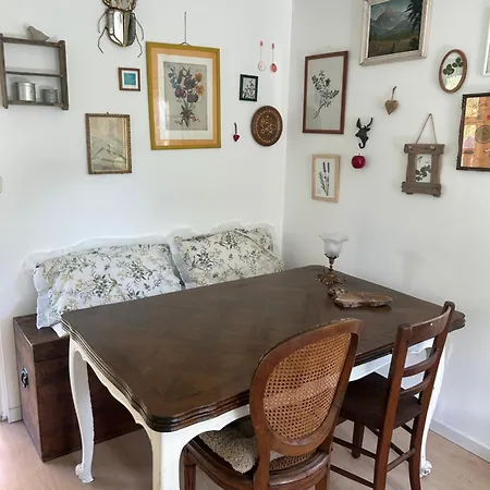 Sur Terrain Arbore Fayet (Aveyron)